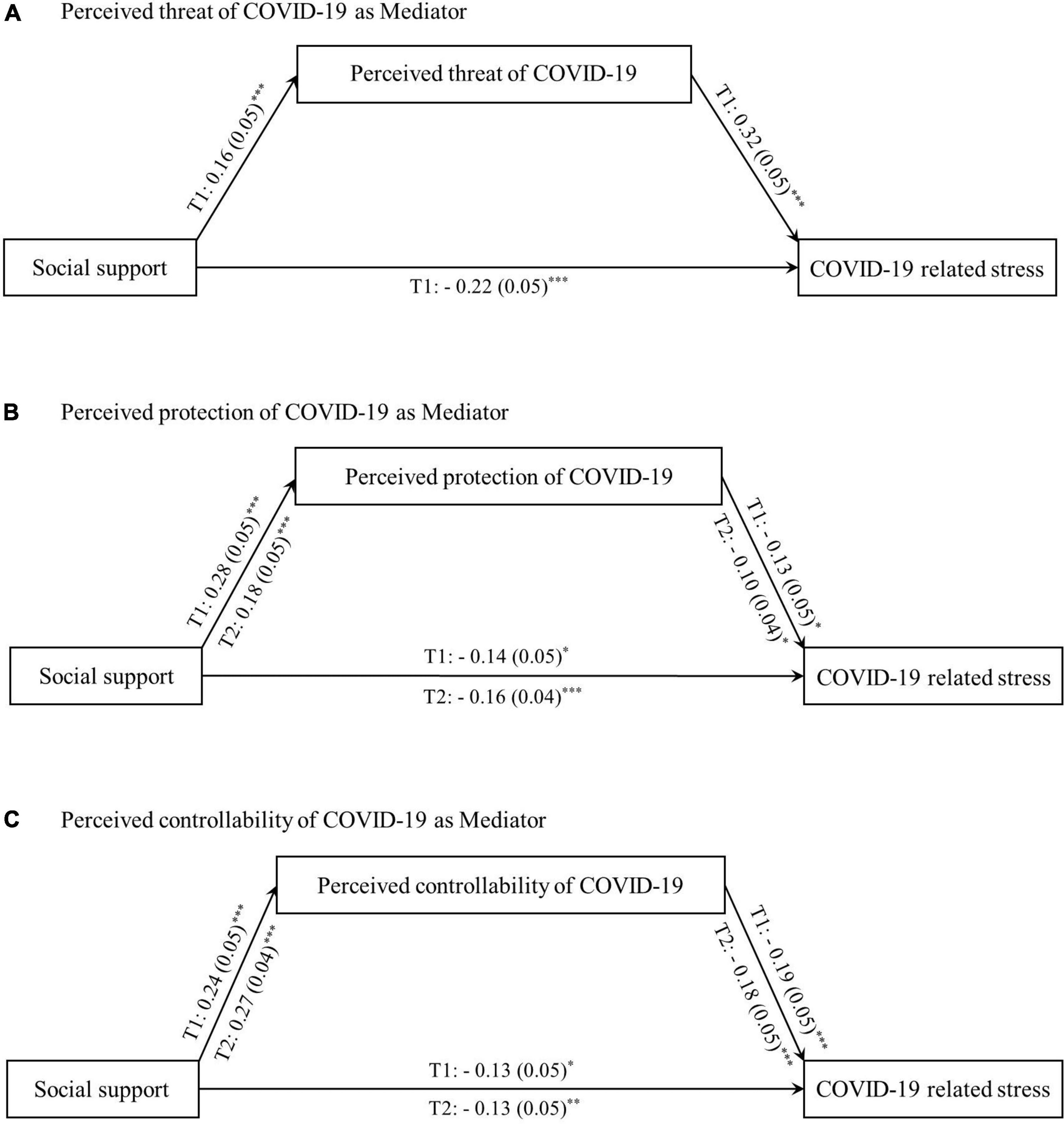 COVID-19 related stress during and one year after the first wave of the pandemic outbreak in China: The role of social support and perceptions of the pandemic